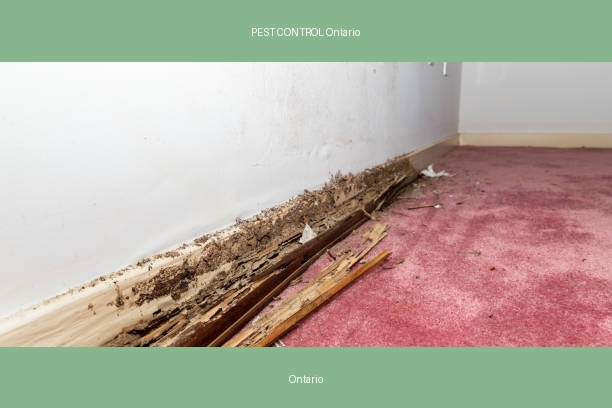 PEST CONTROL Ontario